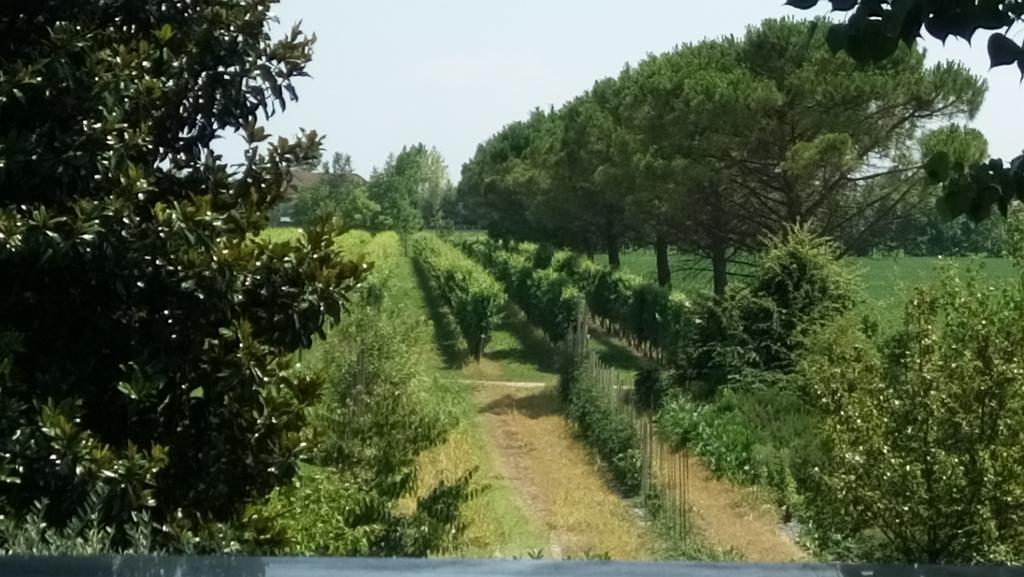 La Pioppa Agriturismo Sacile Exterior foto